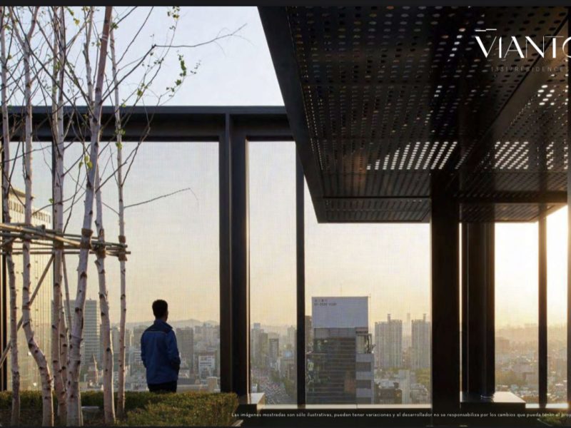 2-ale-alonzo-vianto-1331-residences-jalisco-guadalajara