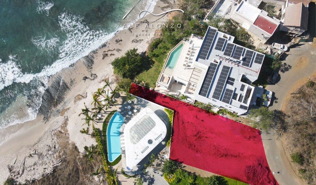 WhatsApp Image 2024-02-13 at 15.55.55