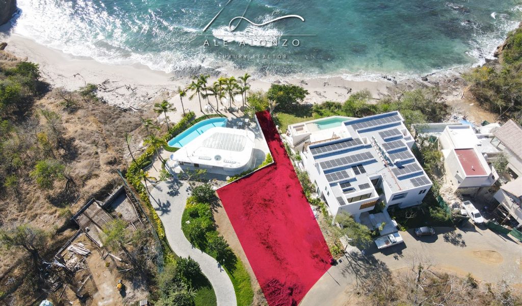 WhatsApp Image 2024-02-13 at 15.55.56