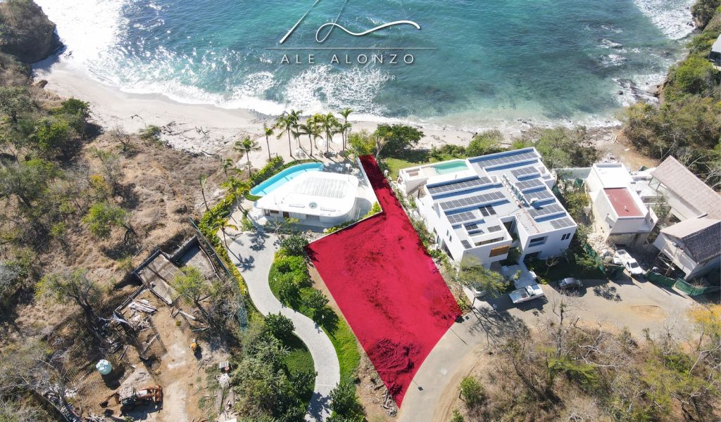 WhatsApp Image 2024-02-13 at 15.55.56(1)