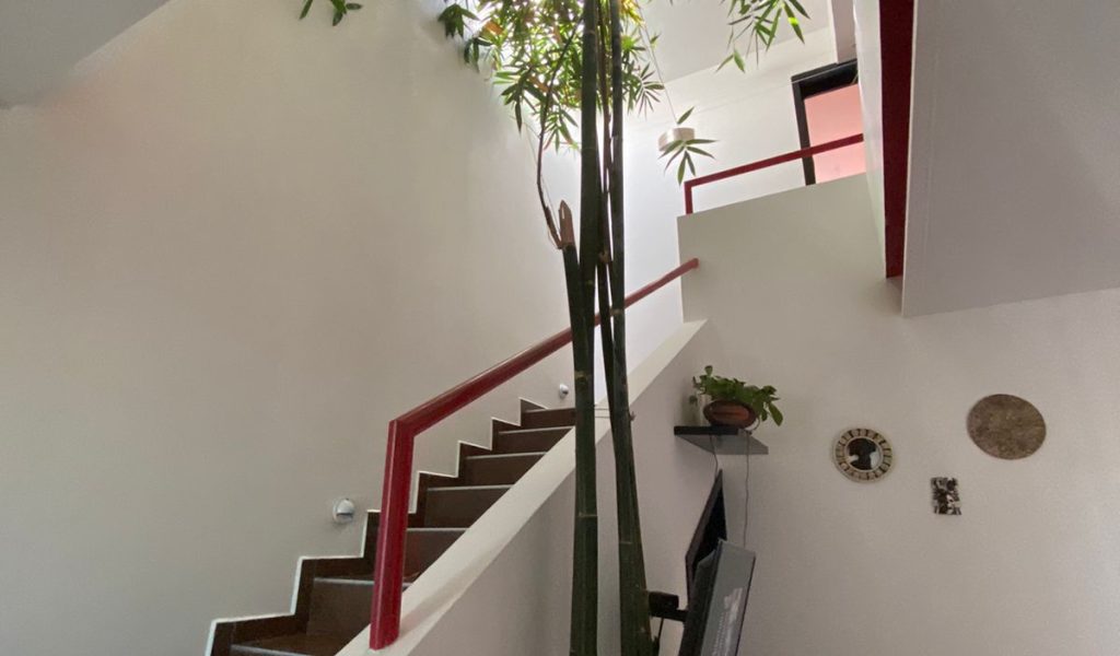 ale-alonzo-casa-en-venta-real-de-valdepeñas-mexico (11)