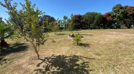 ale-alonzo-casa-en-venta-real-de-valdepeñas-mexico (8)