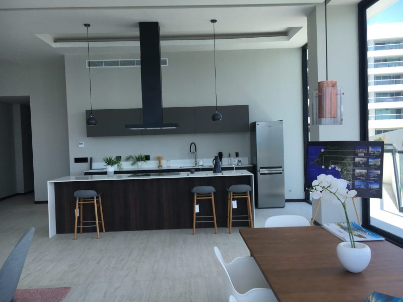 ale-alonzo-narval-nayarit-playa-de-huanacaxtle (12)