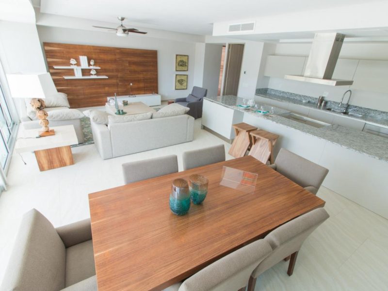 ale-alonzo-peninsula-ixtapa (15)